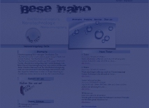 BeSe Nano